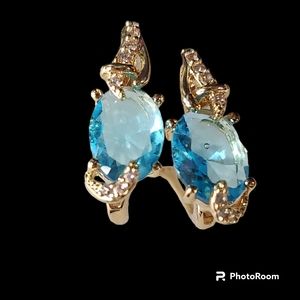 Round Aquamarine Zircon Crystal Earrings March Birthstone Blue Zircon NWT